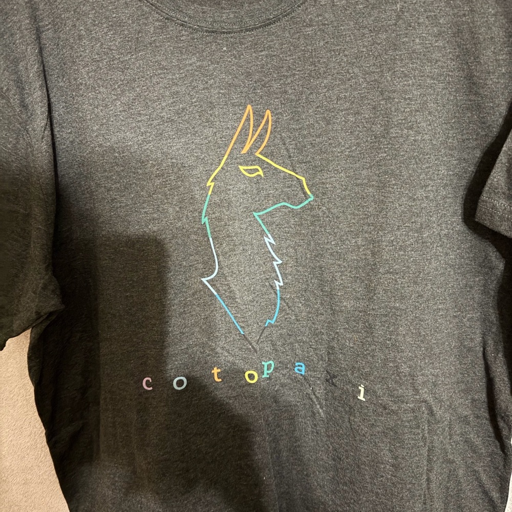 Cotopaxi Charcoal Tee with Colorful Llama